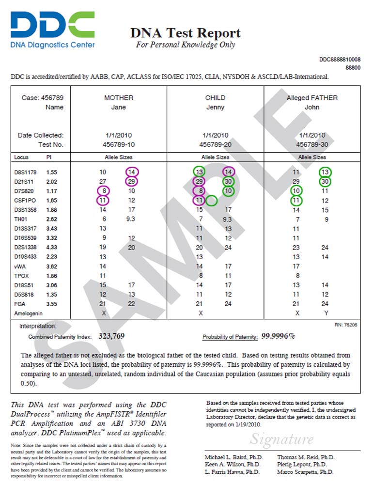 Contoh Paper Gender Pijat Ulu